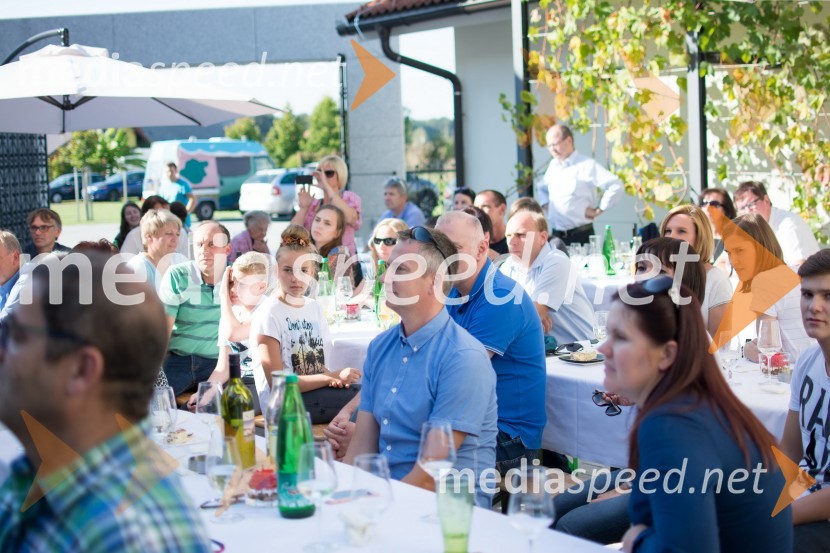 Srečanje SteyerjevSrečanje Steyerjev