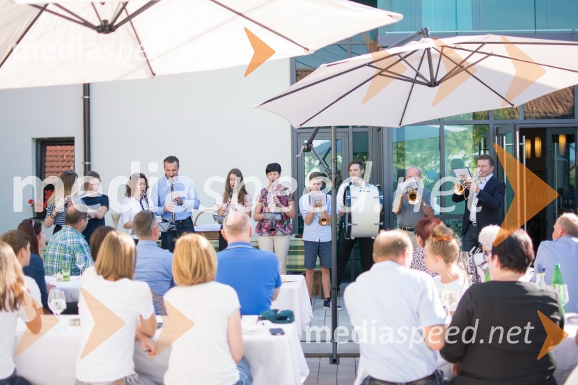 Srečanje SteyerjevSrečanje Steyerjev