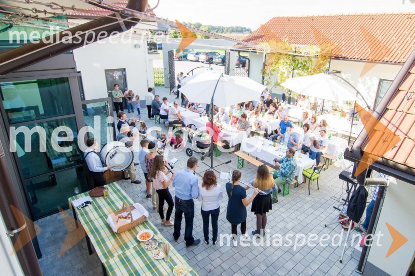 Srečanje SteyerjevSrečanje Steyerjev