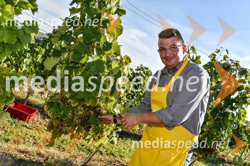 Znani Slovenci na prvi trgatvi šipona, Jeruzalem Ormož