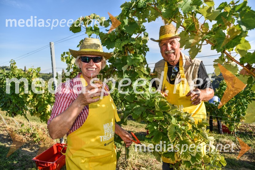 Znani Slovenci na prvi trgatvi šipona, Jeruzalem Ormož