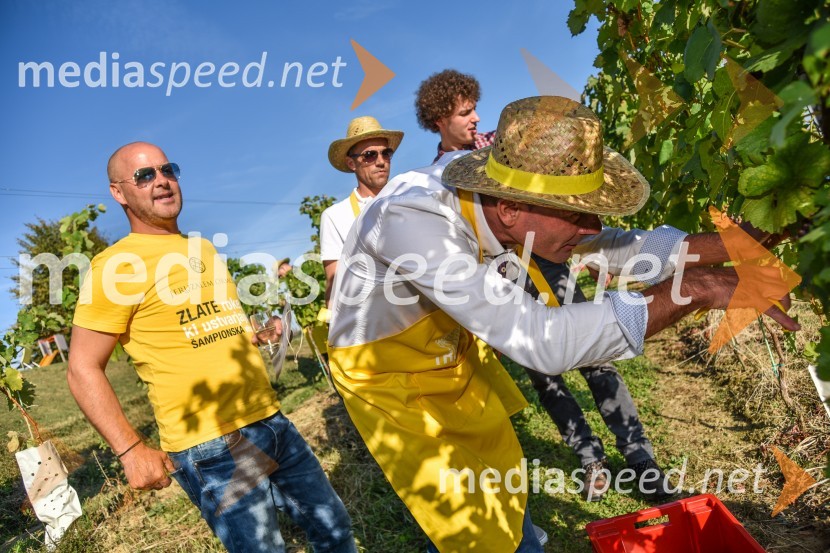 Znani Slovenci na prvi trgatvi šipona, Jeruzalem Ormož