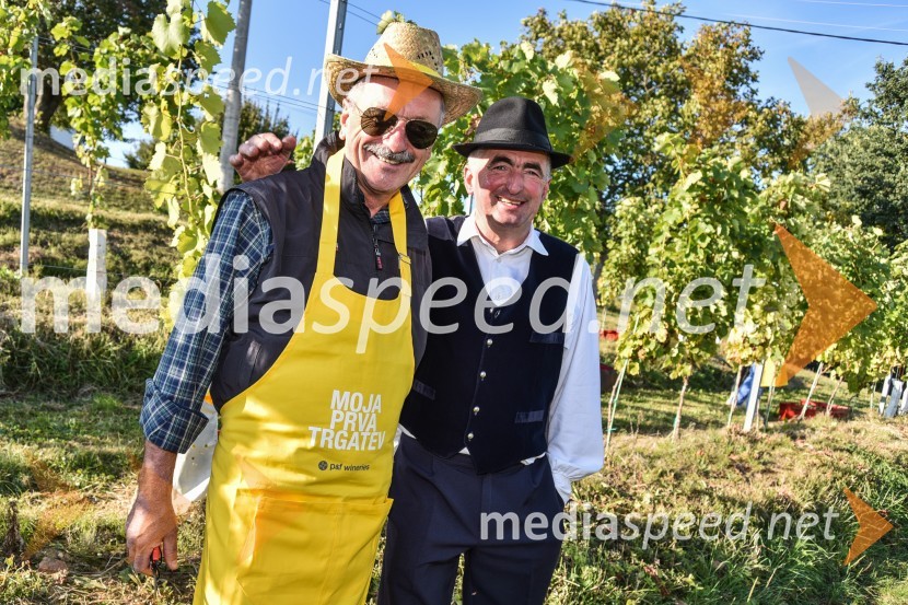 Znani Slovenci na prvi trgatvi šipona, Jeruzalem Ormož