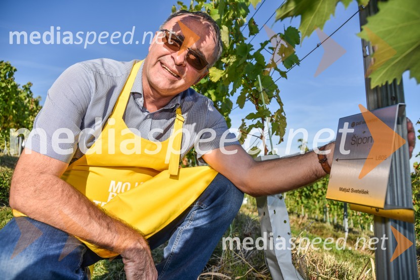  Matjaž Svetelšek, direktor Interspar MariborZnani Slovenci na prvi trgatvi šipona, Jeruzalem Ormož