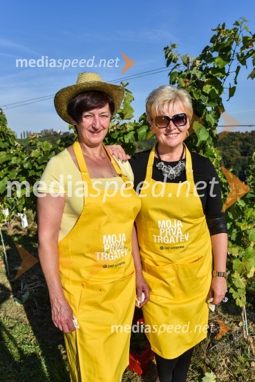 Znani Slovenci na prvi trgatvi šipona, Jeruzalem Ormož