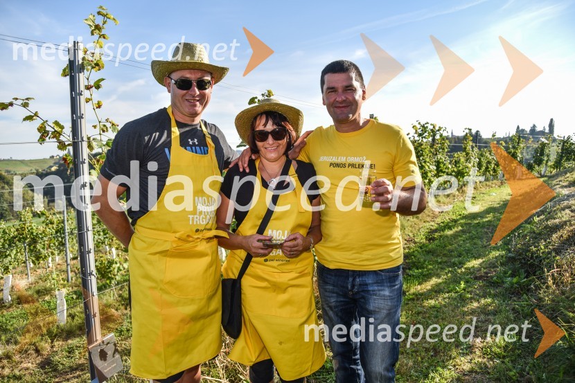 Znani Slovenci na prvi trgatvi šipona, Jeruzalem Ormož