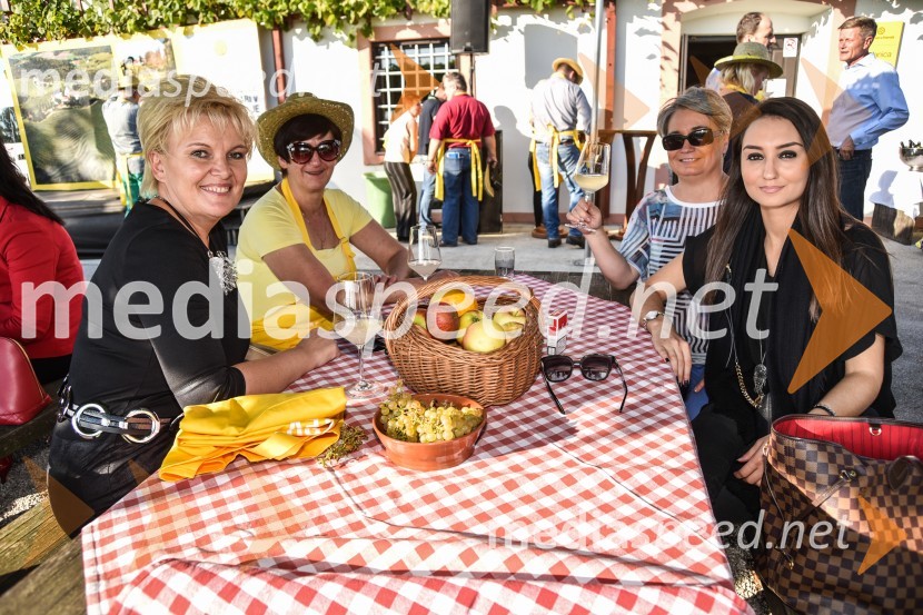Znani Slovenci na prvi trgatvi šipona, Jeruzalem Ormož