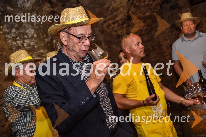  Vladimir Puklavec, lastnik in direktor P&F Holding VinoZnani Slovenci na prvi trgatvi šipona, Jeruzalem Ormož