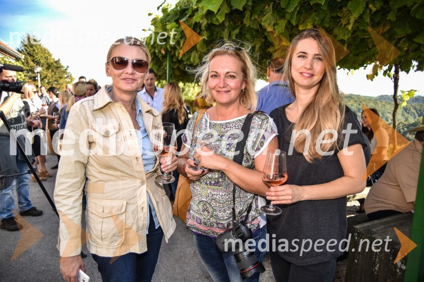 Znani Slovenci na prvi trgatvi šipona, Jeruzalem Ormož