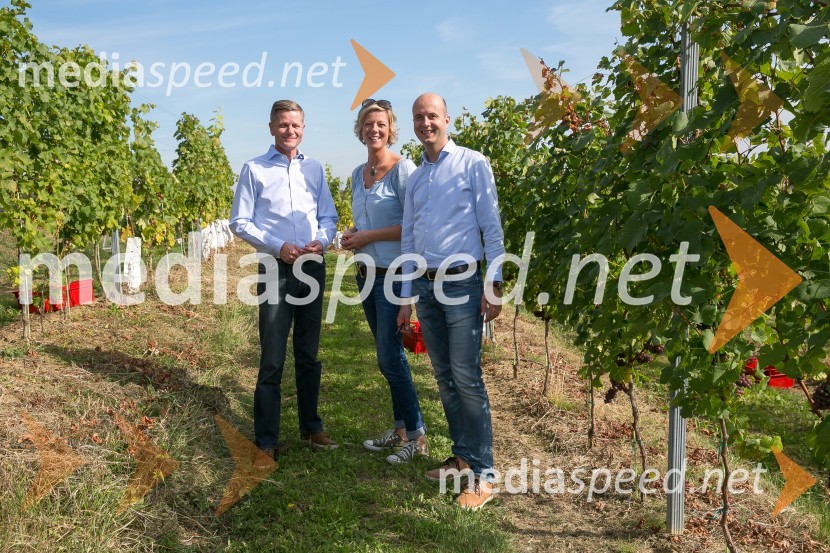  Jorn Pedersen, direktor skupine P&F Holding vino;  Tatjana Puklavec, direktorica P&F wineries B. V.;  Mitja Herga, direktor in glavni enolog kleti P&F JeruzalemZnani Slovenci na prvi trgatvi šipona, Jeruzalem Ormož