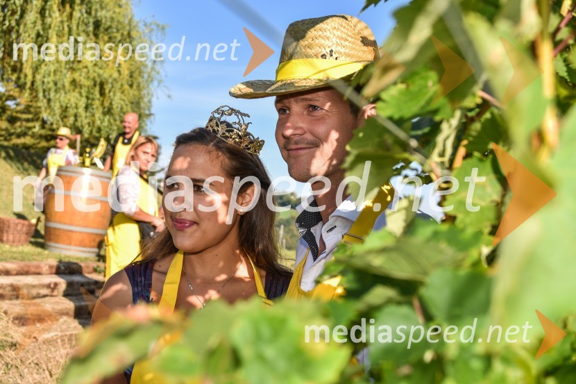  Sara Stadler, Vinska kraljica Slovenije 2016;  Boštjan Romih, televizijski voditeljZnani Slovenci na prvi trgatvi šipona, Jeruzalem Ormož