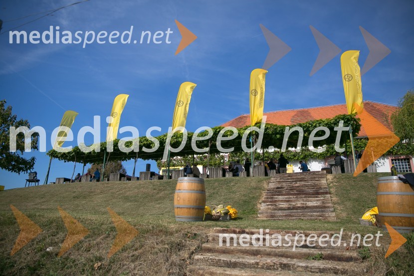 Zidanica MalekZnani Slovenci na prvi trgatvi šipona, Jeruzalem Ormož