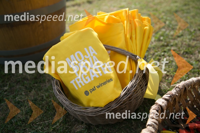 Moja prva trgatev, P&F wineriesZnani Slovenci na prvi trgatvi šipona, Jeruzalem Ormož