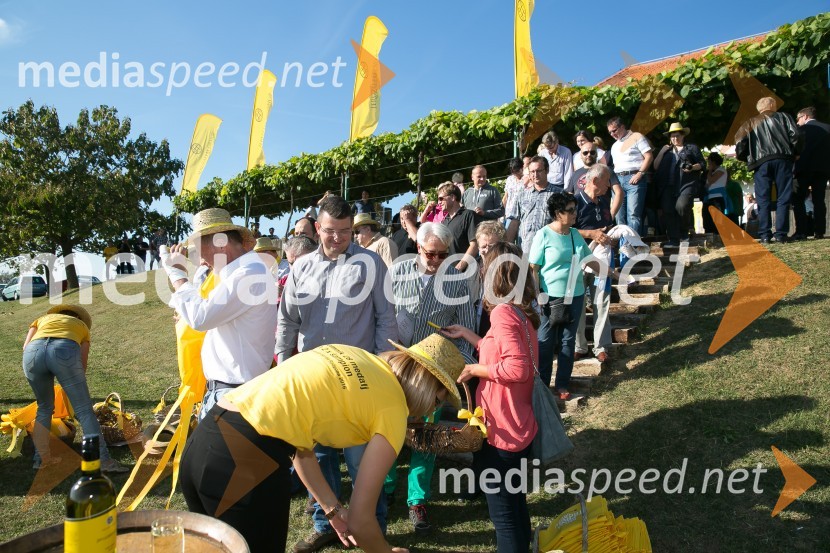 Znani Slovenci na prvi trgatvi šipona, Jeruzalem Ormož