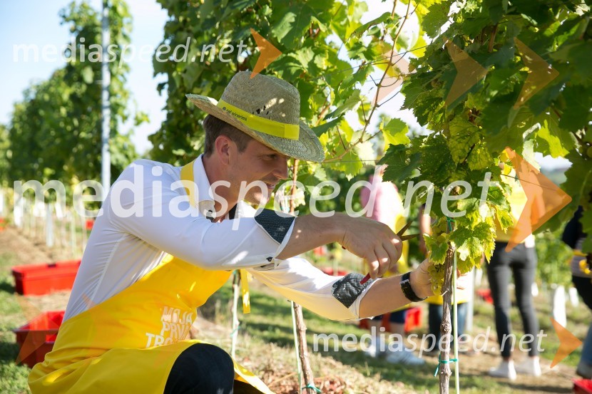  Boštjan Romih, televizijski voditeljZnani Slovenci na prvi trgatvi šipona, Jeruzalem Ormož