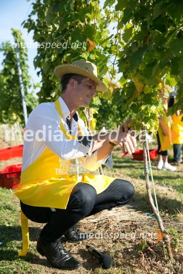  Boštjan Romih, televizijski voditeljZnani Slovenci na prvi trgatvi šipona, Jeruzalem Ormož