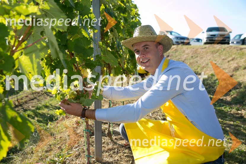  Mitja Herga, direktor in glavni enolog kleti P&F JeruzalemZnani Slovenci na prvi trgatvi šipona, Jeruzalem Ormož