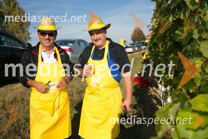 Znani Slovenci na prvi trgatvi šipona, Jeruzalem Ormož