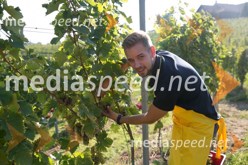 Znani Slovenci na prvi trgatvi šipona, Jeruzalem Ormož