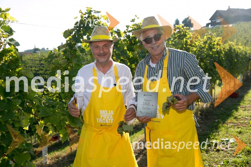 Znani Slovenci na prvi trgatvi šipona, Jeruzalem Ormož