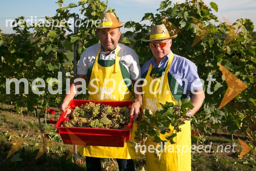 Znani Slovenci na prvi trgatvi šipona, Jeruzalem Ormož