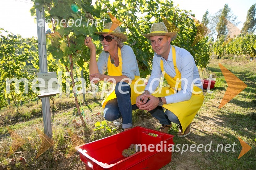  Tatjana Puklavec, direktorica P&F wineries B. V.;  Mitja Herga, direktor in glavni enolog kleti P&F JeruzalemZnani Slovenci na prvi trgatvi šipona, Jeruzalem Ormož