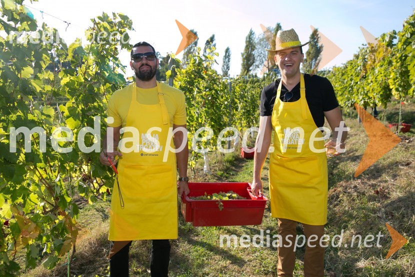 Znani Slovenci na prvi trgatvi šipona, Jeruzalem Ormož