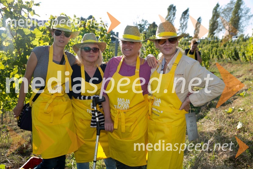 Znani Slovenci na prvi trgatvi šipona, Jeruzalem Ormož