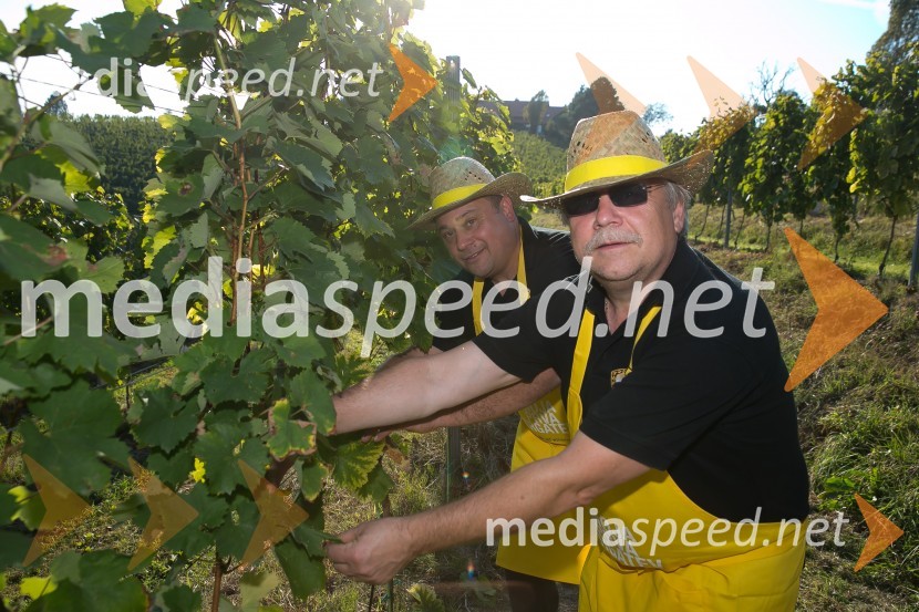 Znani Slovenci na prvi trgatvi šipona, Jeruzalem Ormož