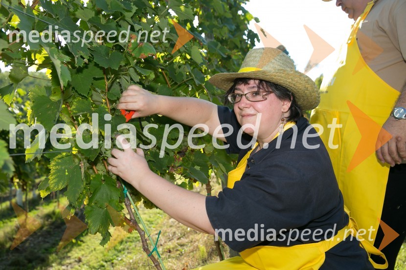 Znani Slovenci na prvi trgatvi šipona, Jeruzalem Ormož