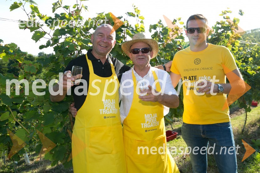  Danilo Šoster, vodja prodaje za gostinstvo, P&F Jeruzalem ;  ... ;  ... Znani Slovenci na prvi trgatvi šipona, Jeruzalem Ormož