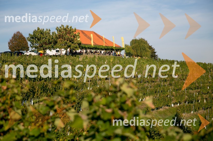 Zidanica MalekZnani Slovenci na prvi trgatvi šipona, Jeruzalem Ormož