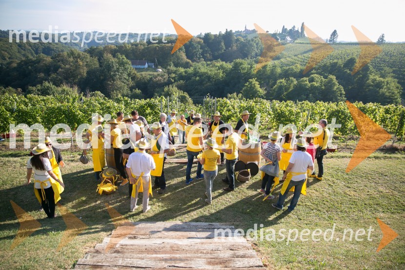 Znani Slovenci na prvi trgatvi šipona, Jeruzalem Ormož
