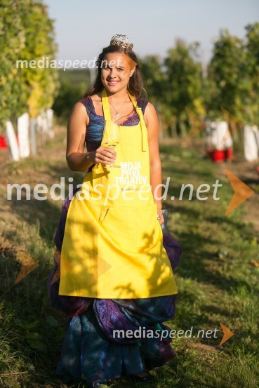  Sara Stadler, Vinska kraljica Slovenije 2016Znani Slovenci na prvi trgatvi šipona, Jeruzalem Ormož