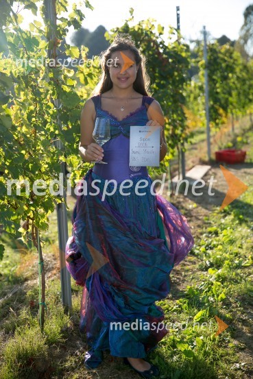  Sara Stadler, Vinska kraljica Slovenije 2016Znani Slovenci na prvi trgatvi šipona, Jeruzalem Ormož