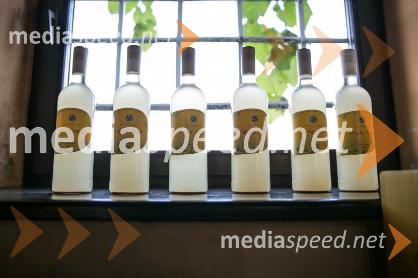 Znani Slovenci na prvi trgatvi šipona, Jeruzalem Ormož