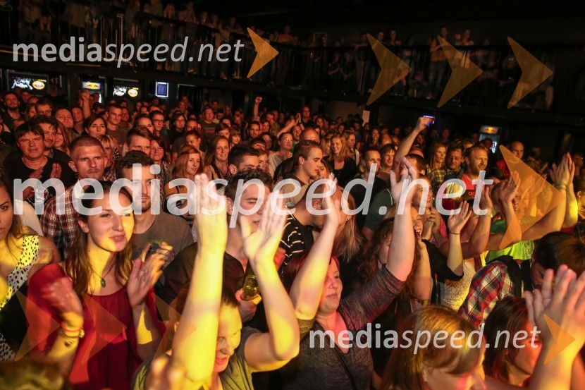 Občinstvo na koncertu Vlada KreslinaKoncert Vlada Kreslina