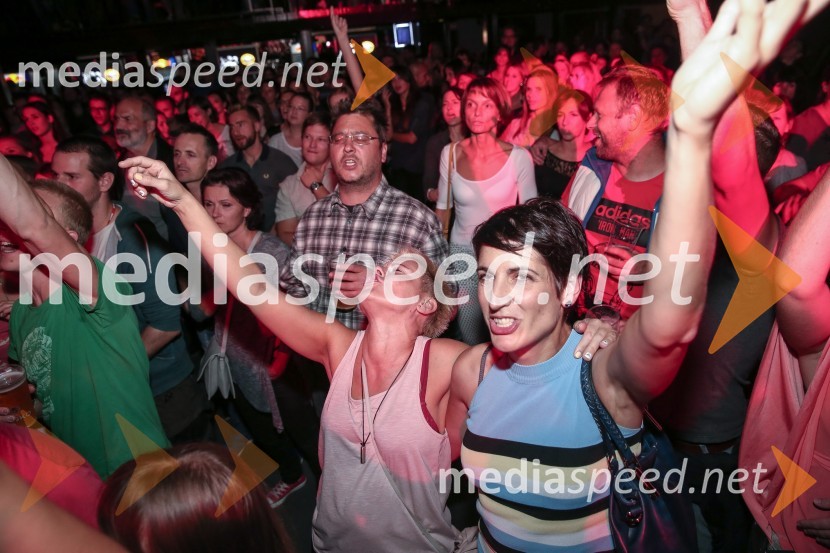 Koncert Vlada Kreslina