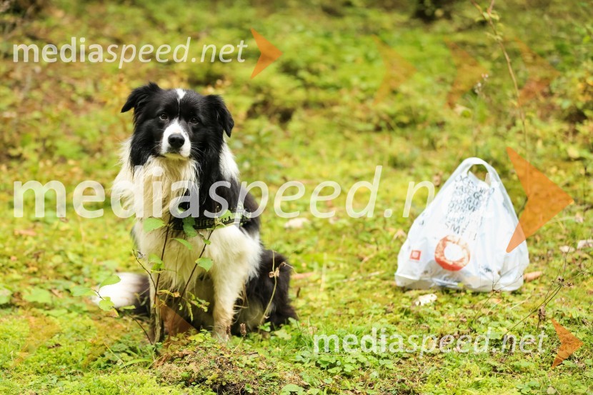 Očistimo naše gore 2016, zaključek akcije