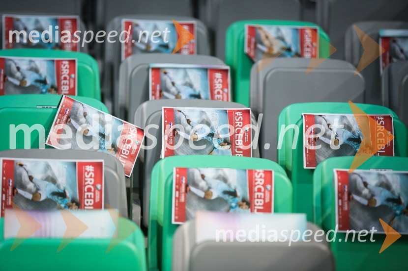 Nogometna tekma  Slovenija – Slovaška