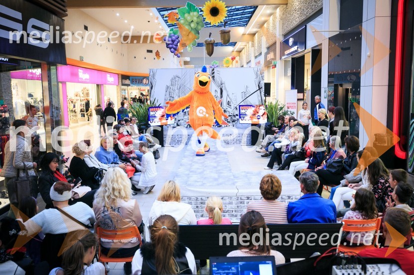  papiga QLara, maskota QlandieModna revija, Qlandia Kranj