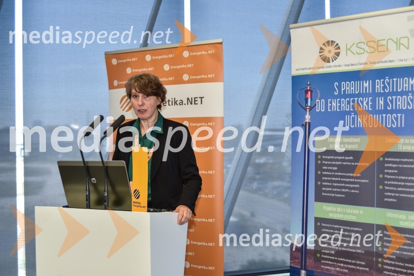  Konstanze Stein, Climate Protection and Energy Agency ob Baden-WürttembergEn.občina 016: Zmagovalke so Velenje, Pivka in Miren Kostanjevica