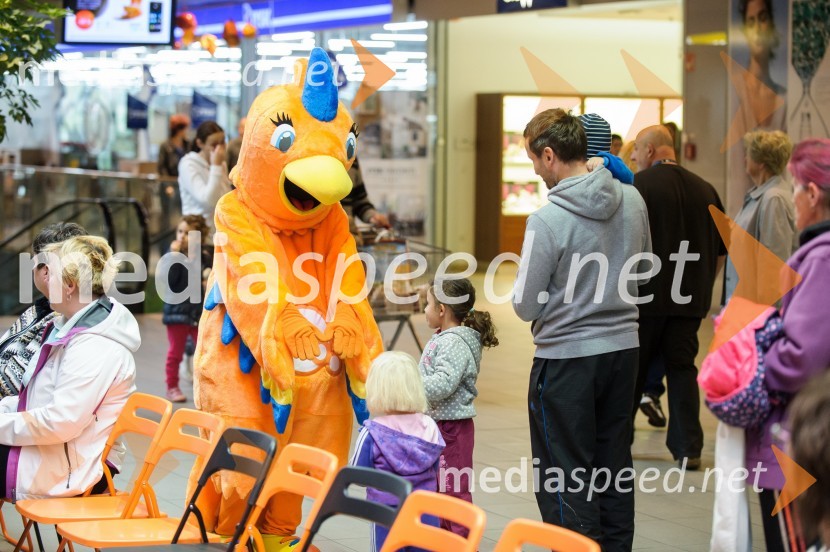  papiga QLara, maskota QlandieModna revija, Qlandia Maribor