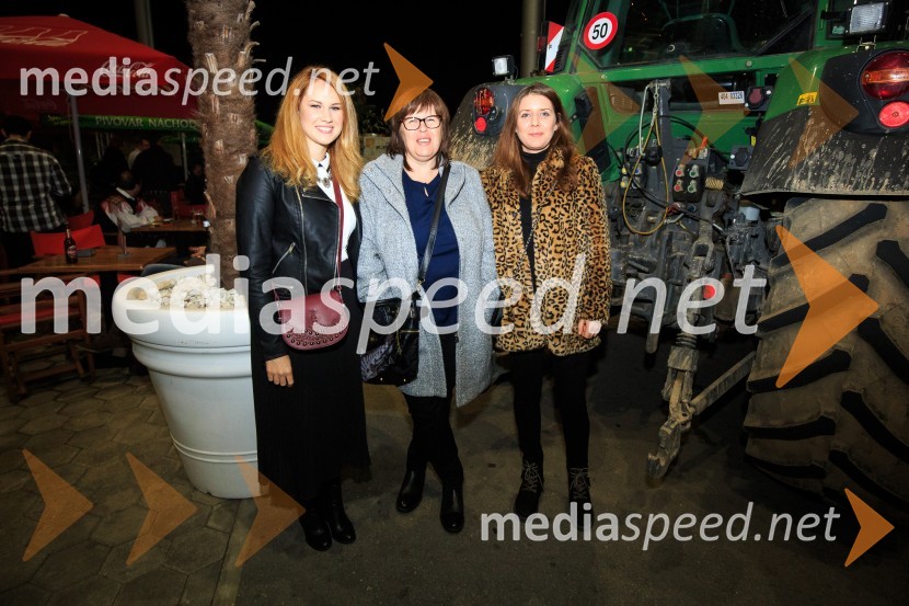 Premiera filma Pr' Hostar v Cineplexxu Kranj