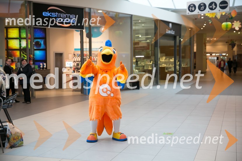  papiga QLara, maskota QlandieModna revija, Qlandia Krško