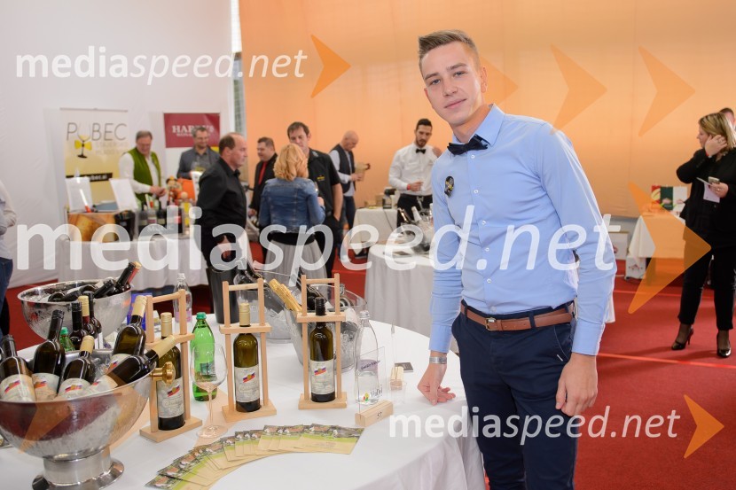 Salon VinDel 2016, 9. mednarodni salon vina in delikatese