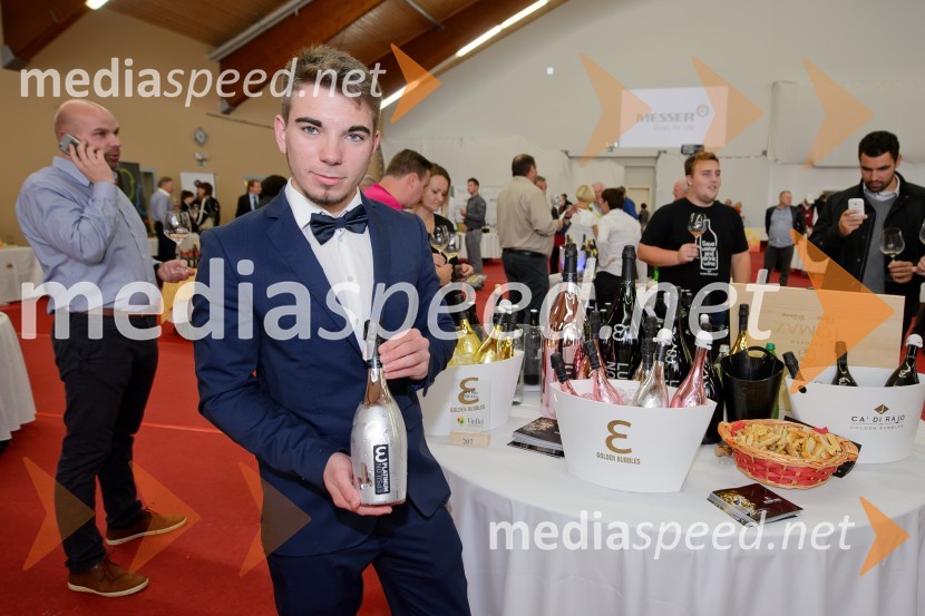 Salon VinDel 2016, 9. mednarodni salon vina in delikatese