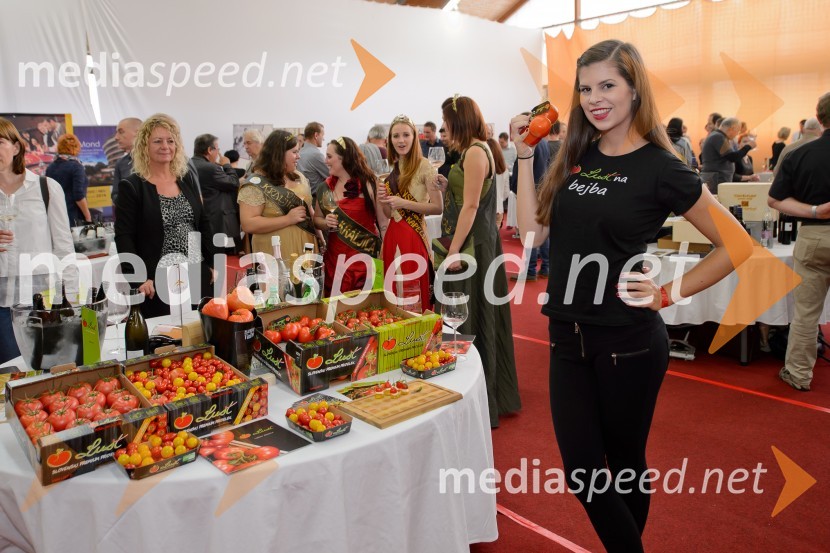 Salon VinDel 2016, 9. mednarodni salon vina in delikatese