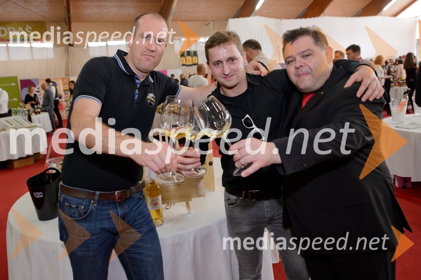 Salon VinDel 2016, 9. mednarodni salon vina in delikatese