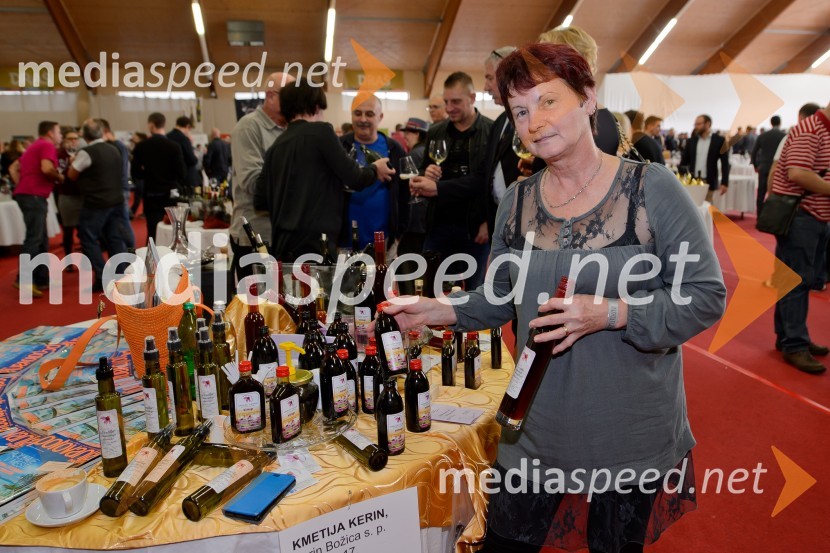 Salon VinDel 2016, 9. mednarodni salon vina in delikatese